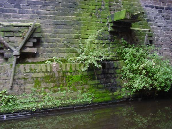 DSC01963