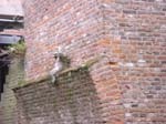DSC01975