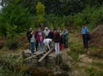 Afbeelding 037