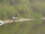 Afbeelding 069