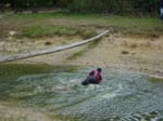 Afbeelding 084