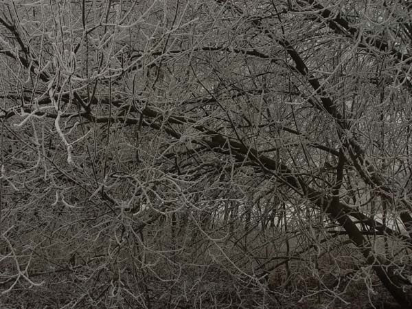 DSC03190a