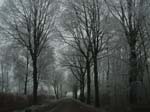 DSC03120a