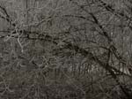 DSC03190a
