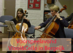 voorspeelavond cello en viool