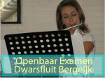 examnes dwarsfluit2